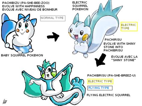 pachirisu evolution